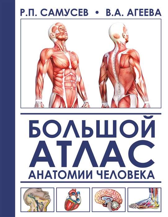 Большой атлас анатомии человека. 2-е издание