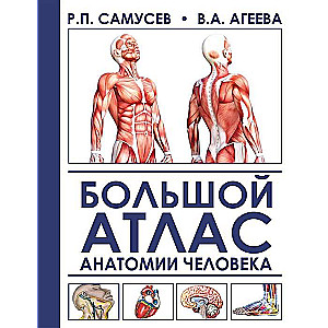 Lielais cilvēka anatomijas atlants. 2. izdevums