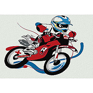 Glezna pēc numuriem 20x30 MOTOGONKA (5 krāsas)