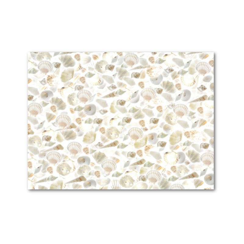 Картон декоративный FOLIA Sea Shells MIx 270г, 50x70см
