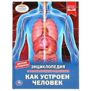 KĀ IR UZBŪVĒTS CILVĒKS