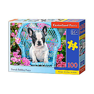 Puzle 100. Franču buldogu kucēns