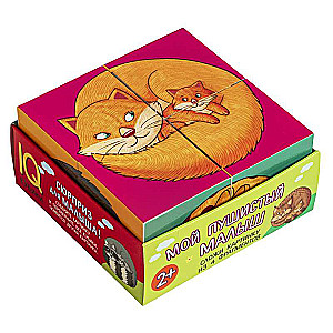 IQ-kubiki poddēlī. 4 gabali. Mans pūkains mazulis