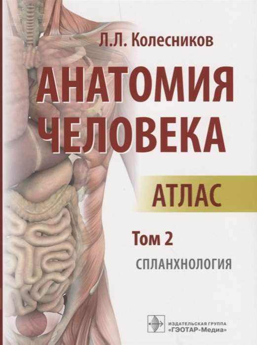 Анатомия человека.Т.2.Спланхнология.В 3х томах