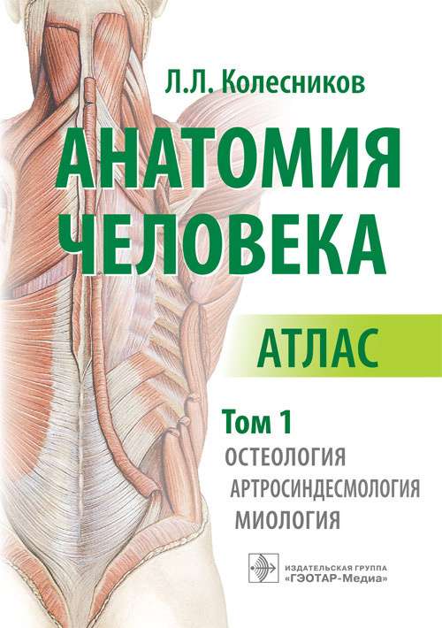 Анатомия человека.Т.1.Остеология,артросиндесмология,миология.В 3х томах