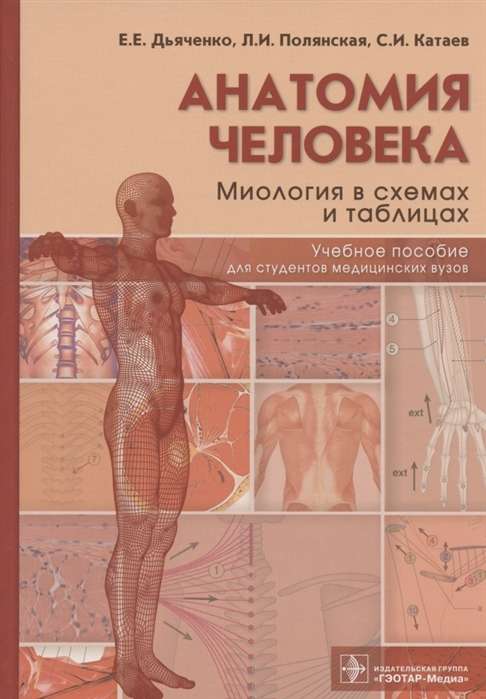 Cilvēka anatomija: Mioloģija shēmās un tabulās
