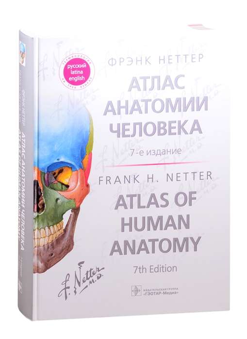 Атлас анатомии человека.7-е изд.
