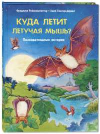 Куда летит летучая мышь? Познавательные истории