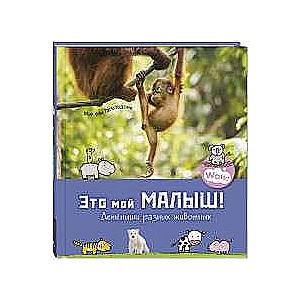 Tas ir mans mazulis! Dzīvnieku mazuļi