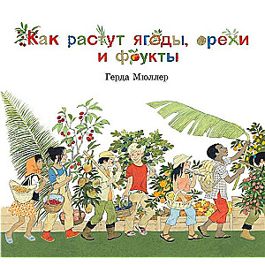 Как растут ягоды, орехи, фрукты? 
