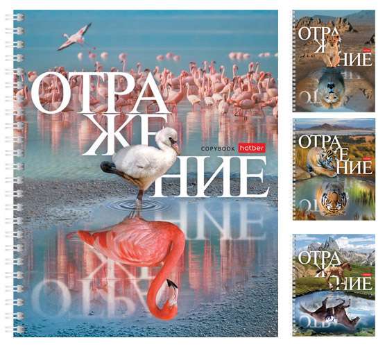 Zinātnes grāmata 48l A5f šūnā sērijā Atspulgs