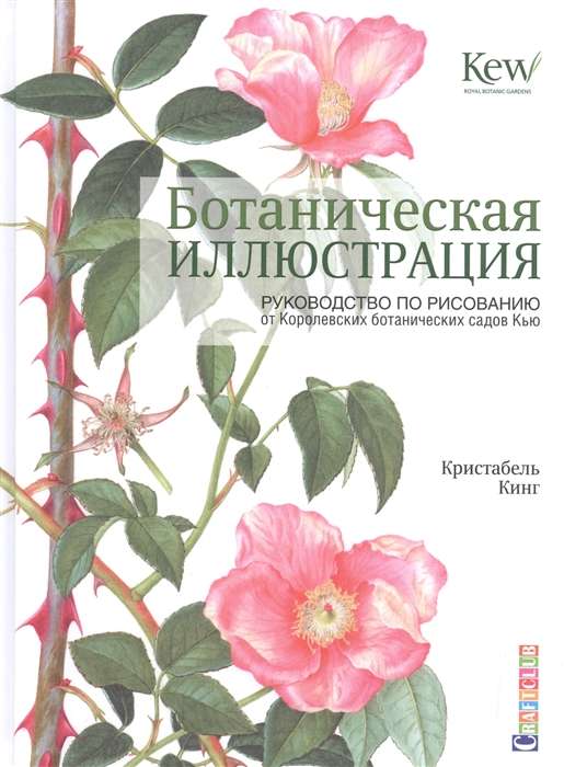 Ботаническая иллюстрация: руководство по рисованию