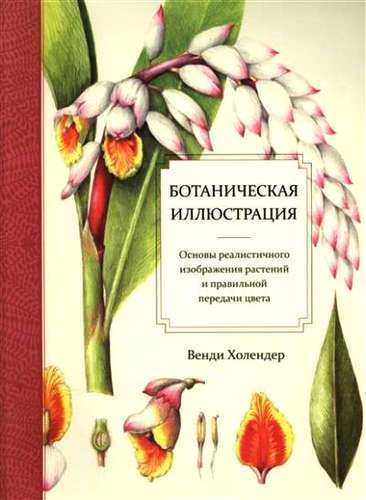 Botāniska ilustrācija