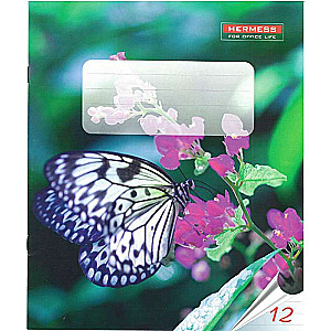 Zinātniskā piezīmju grāmatiņa 12l., līnija, 170*205 mm, 70g/m2