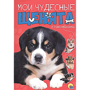 Mani brīnišķīgie kucēni