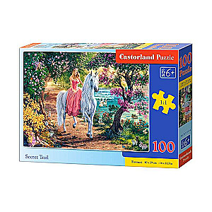 Puzle 100. Slepenā taka