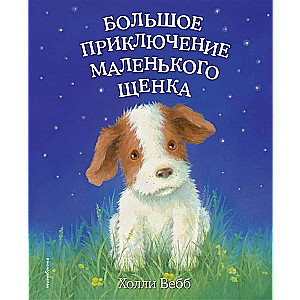 Lielā piedzīvojuma mazā kucēna (1. izdevums)