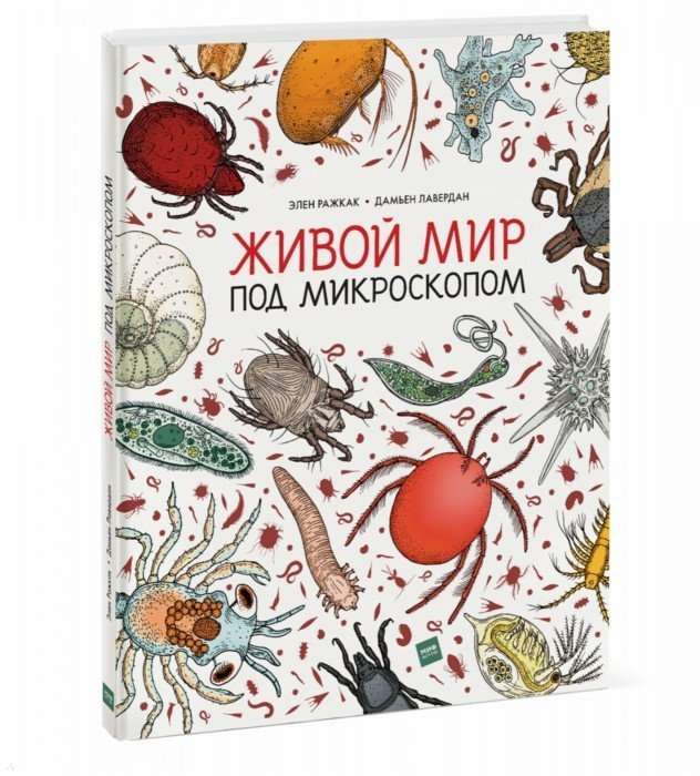 Живой мир под микроскопом