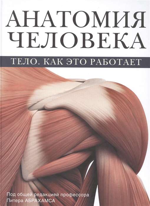 Cilvēka anatomija