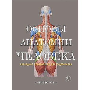 Cilvēka anatomijas pamati. Redzams ceļvedis māksliniekiem