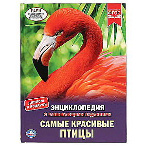 Skaistākās putni