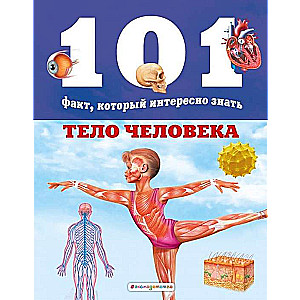 Cilvēka ķermenis