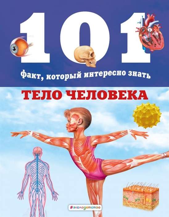Cilvēka ķermenis