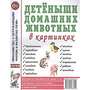 Mājas dzīvnieku mazuļi attēlos. Vizuālais palīglīdzeklis pedagogiem, logopēdiem, audzinātājiem. A4