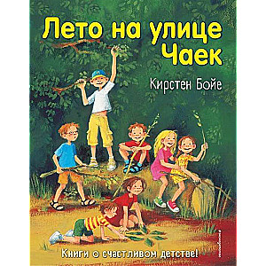 Vasara Čaiku ielā