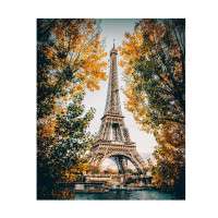 Glezna pēc numuriem -   Parīze.  Eifeļa tornis( 16 krāsas)