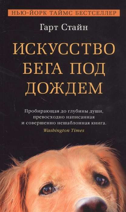 Māksla skriet lietū