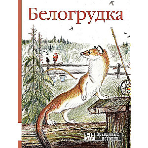 Belogrudka