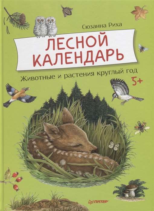 Лесной календарь. Животные и растения круглый год