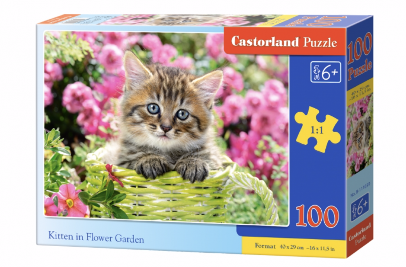 Spēle puzle Kitten in Flower Garden