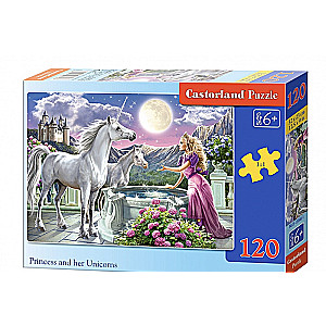 Puzle 120. Vienradži un princese