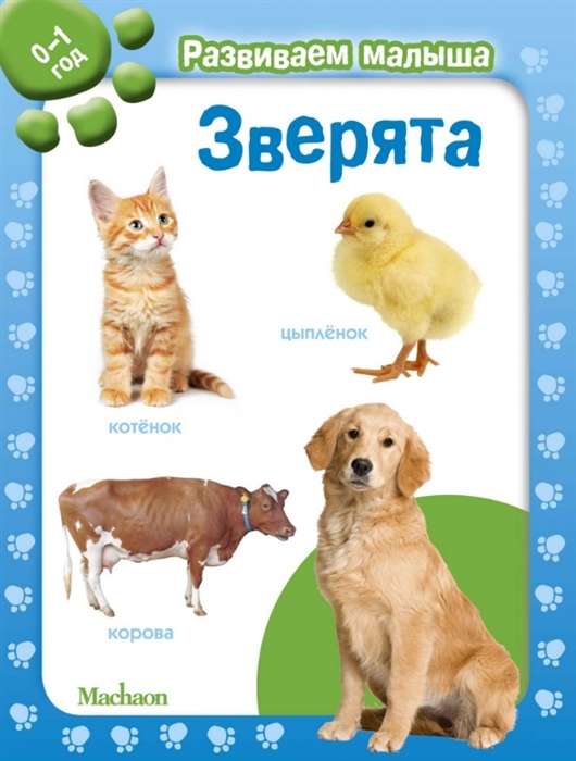 Zvēri