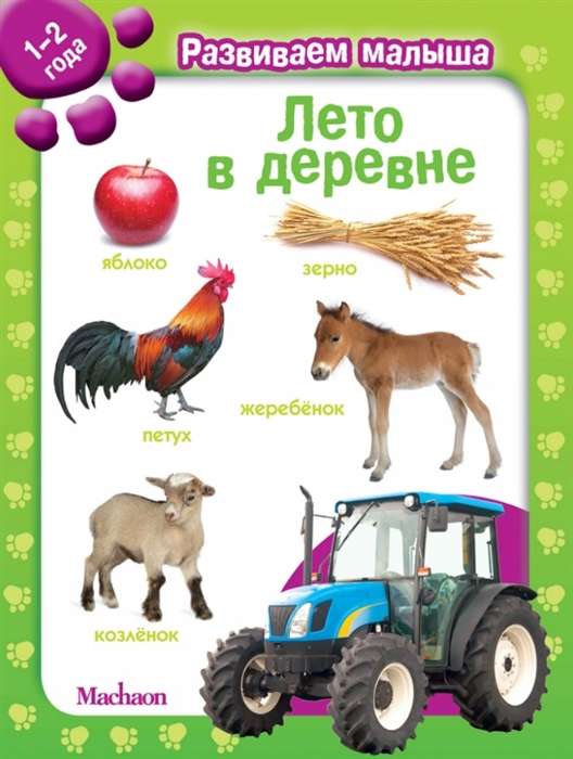 Vasara ciematā