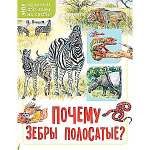 Kāpēc zebras ir svītrainas?