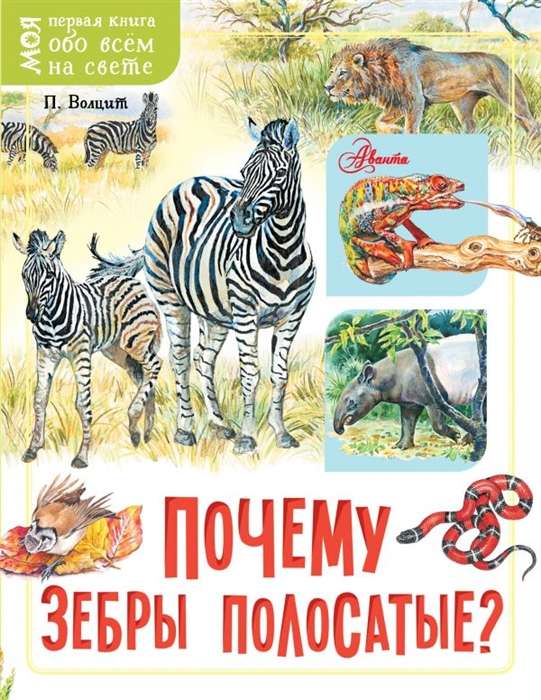 Kāpēc zebras ir svītrainas?