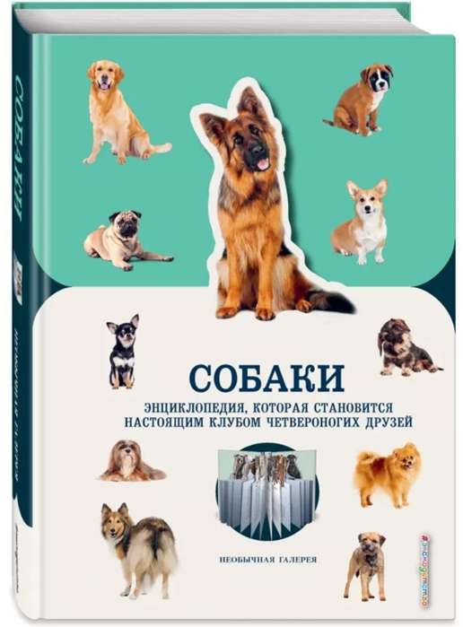 Собаки. Энциклопедия, которая становится настоящим клубом четвероногих друзей