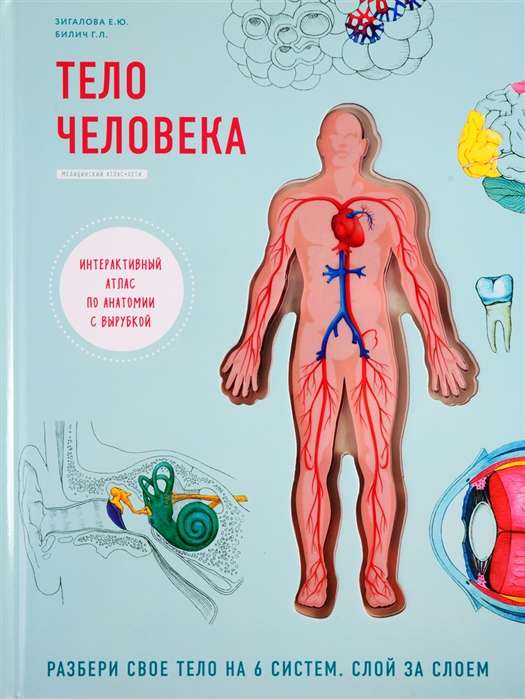 Cilvēka ķermenis. Interaktīvs anatomijas atlants ar izgriezumu. Izpēti savu ķermeni 6 sistēmās. Slānis pēc slāņa