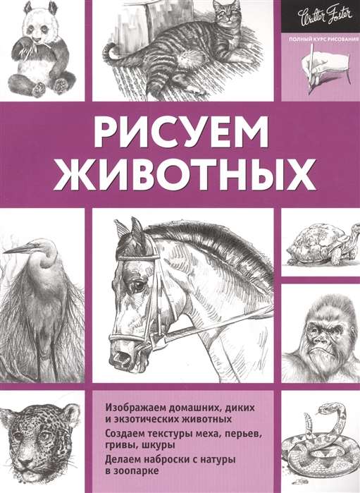 Zīmējam dzīvniekus