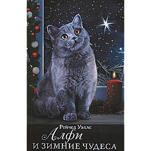 Alfi un ziemas brīnumi