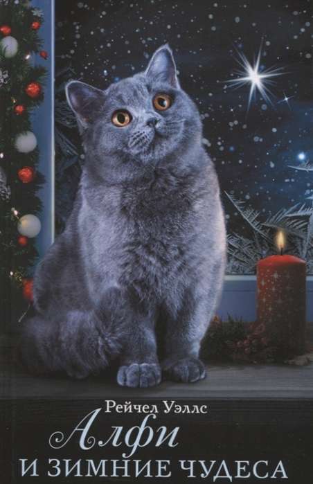 Alfi un ziemas brīnumi