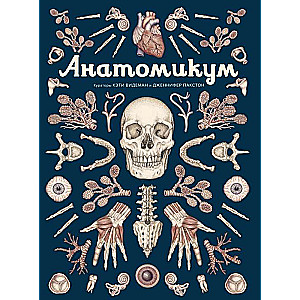 Anatomikums