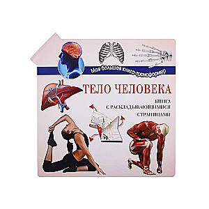 Cilvēka ķermenis