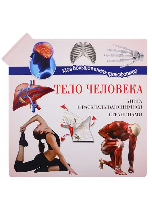 Cilvēka ķermenis
