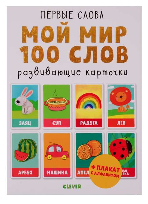 Мой мир. 100 слов. Развиающие карточки