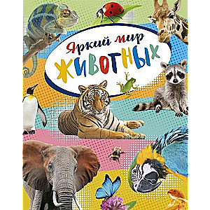 Spilgtā dzīvnieku pasaule