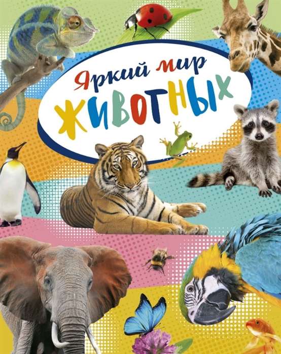 Spilgtā dzīvnieku pasaule